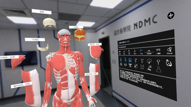 A virtual reality scene depicting the interior of an office-style space containing a detailed human anatomical model..jpg