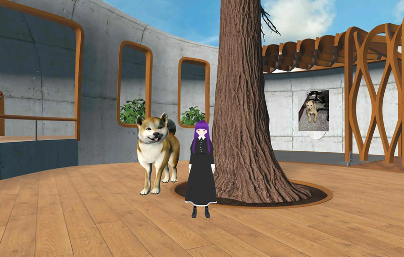 Although the famous Shiba Inu probably doesn't know that someone has created a World for them, and can't visit it in person, this World, like its owner, will always be remembered