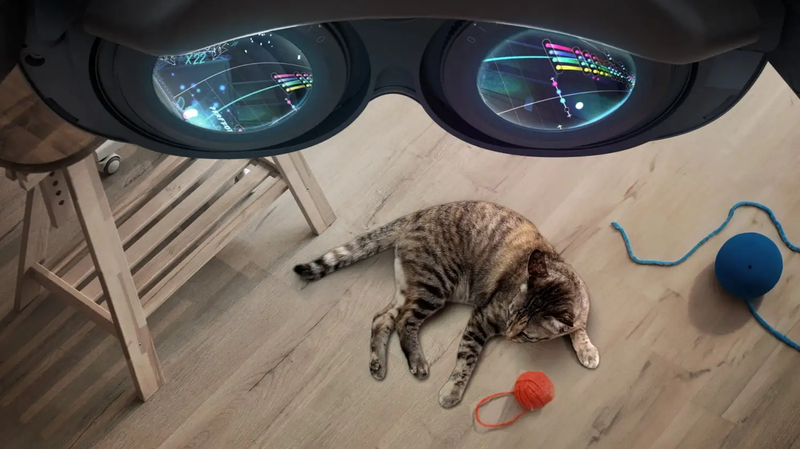 No more worrying about accidentally stepping on your cat while playing VR