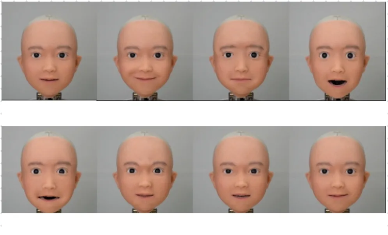 These are Yui's expressions. Swipe right to guess its emotion