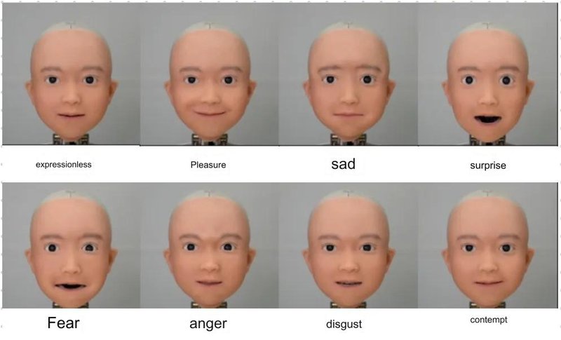 accurately reproducing facial expressions—while Yui can express basic emotions, there is room for improvement in precision